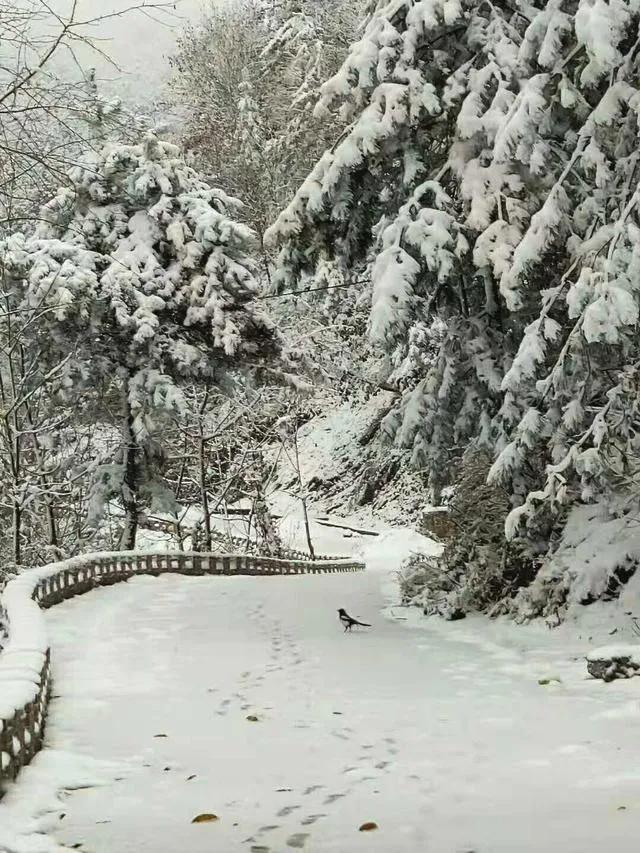 晚来天欲雪能饮一杯无全诗翻译,晚来天欲雪能饮一杯无类似的句子