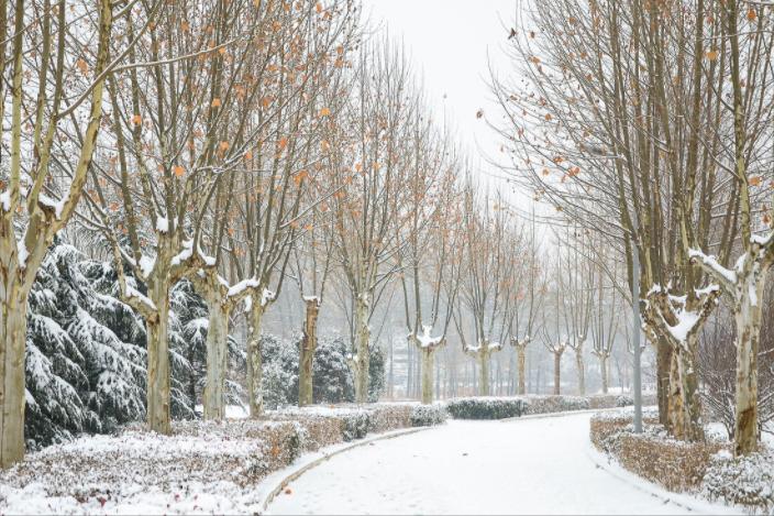 山东老板放弃千万生意,回乡给泥鳅建别墅,年销达1600万