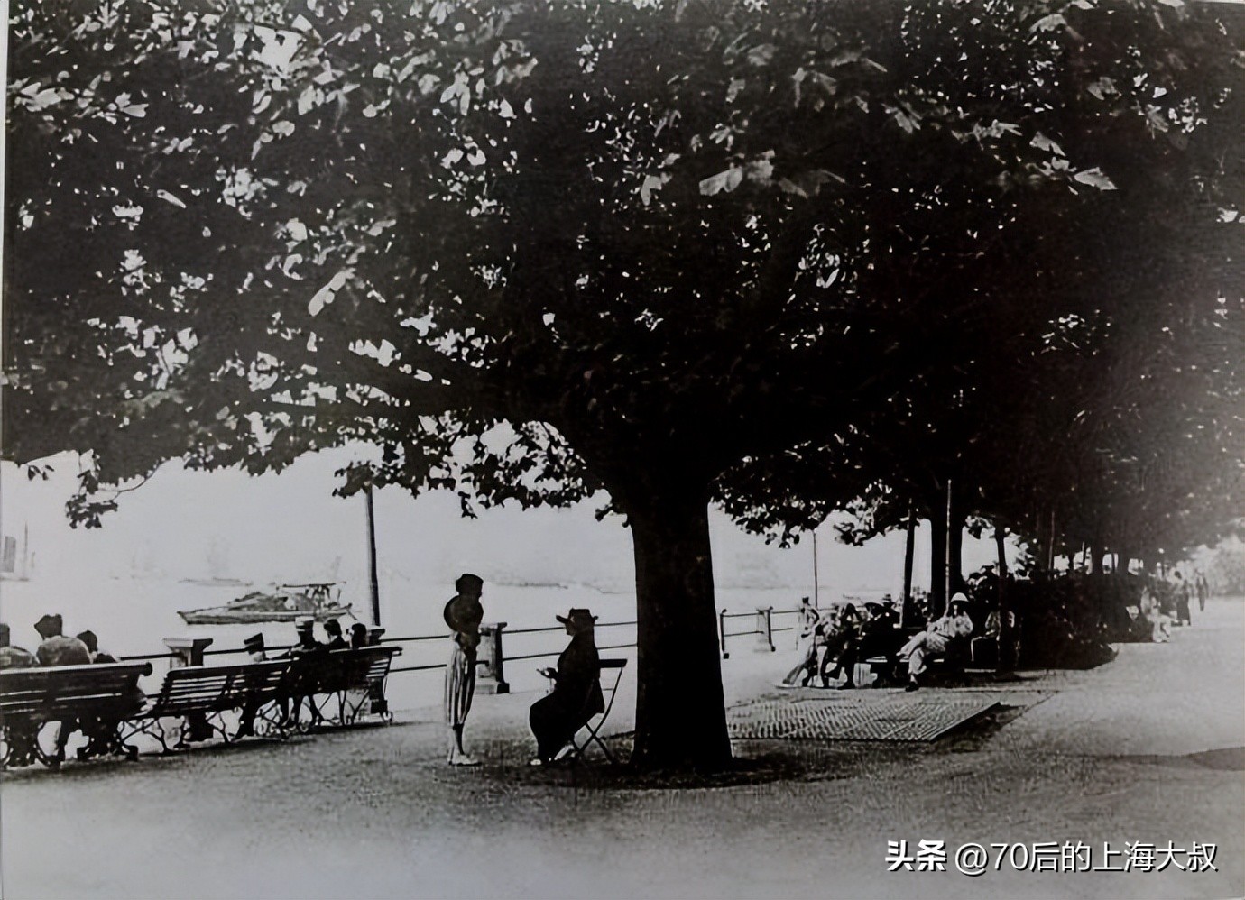 上海黄浦的公园,老上海珍贵园林图片