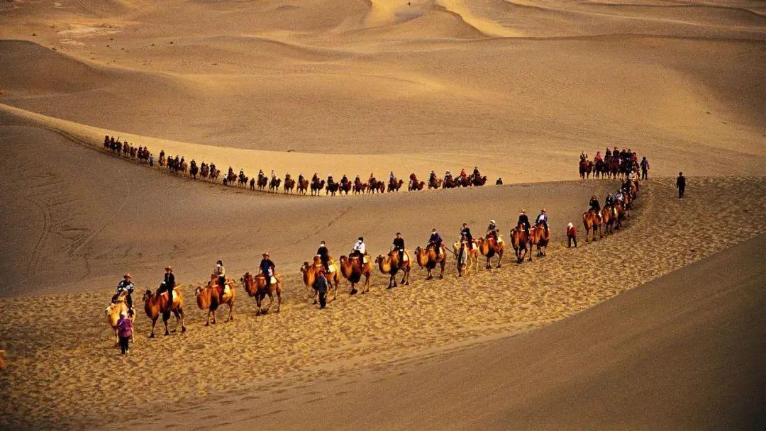 我愿和你一起奔赴理想和未来,我愿背上行囊随你去远方