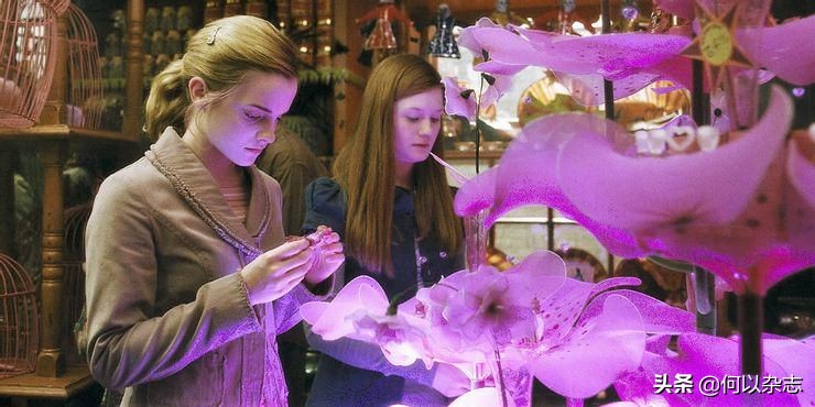 《哈利波特》，魔法界有财政体系吗？关于魔法世界法律的10个疑问