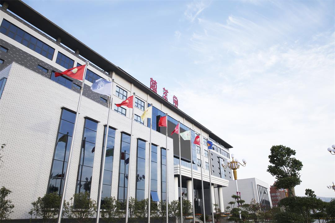 以真点亮品牌之光，万茗堂应邀与央视主持人董倩《对话中国品牌》