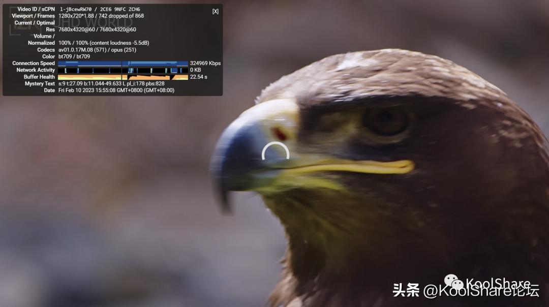 ipadmini6鍜宨phone13promax,asus杩蜂綘涓绘満娴嬭瘎瀵规瘮