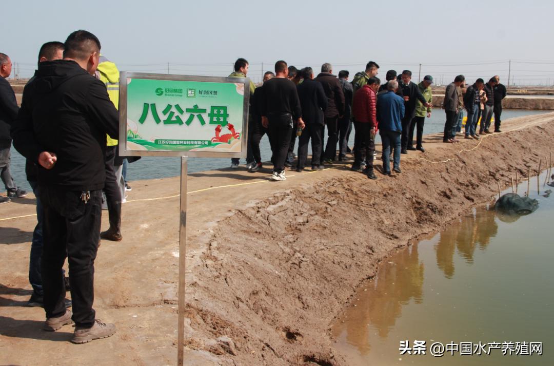 坚持做好产品质量的决心,坚持做良心产品