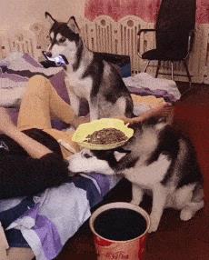 突然冒出一片气泡,突然冒了小小的水泡泡