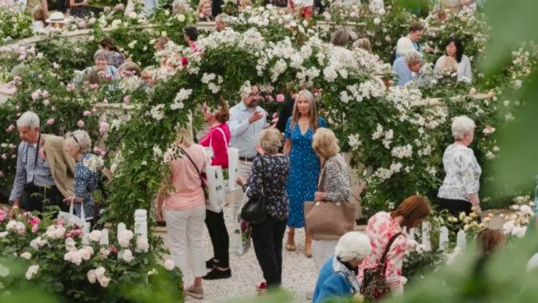 切尔西花展2018地址,切尔西花展