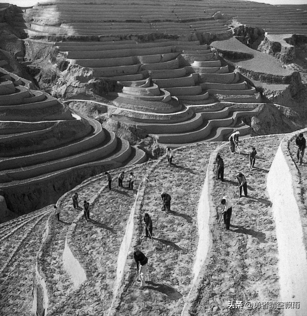 当年生产队集体干农活,当年生产队想干什么