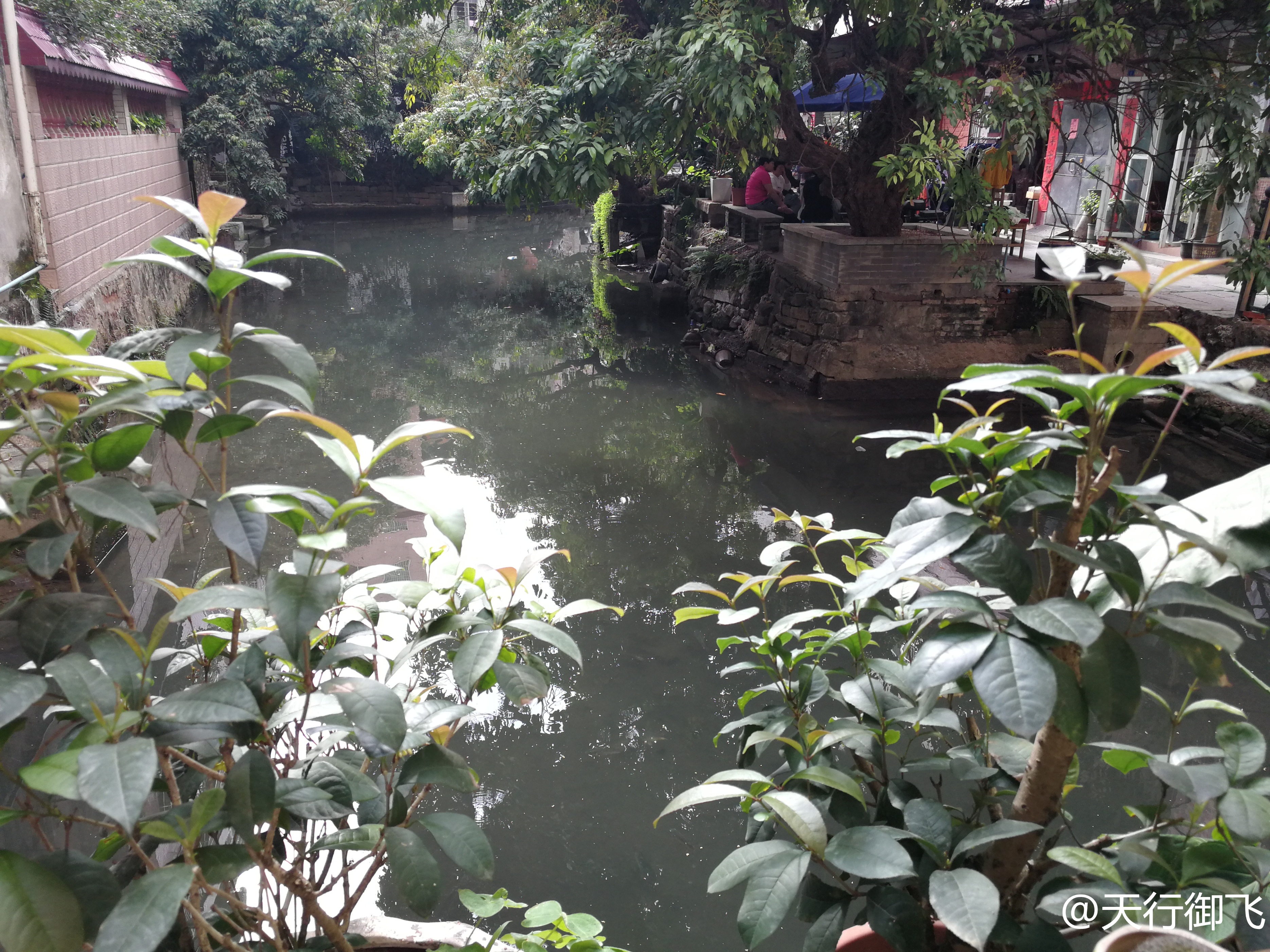 小洲村旅游景点地图,小洲村一日游最佳攻略