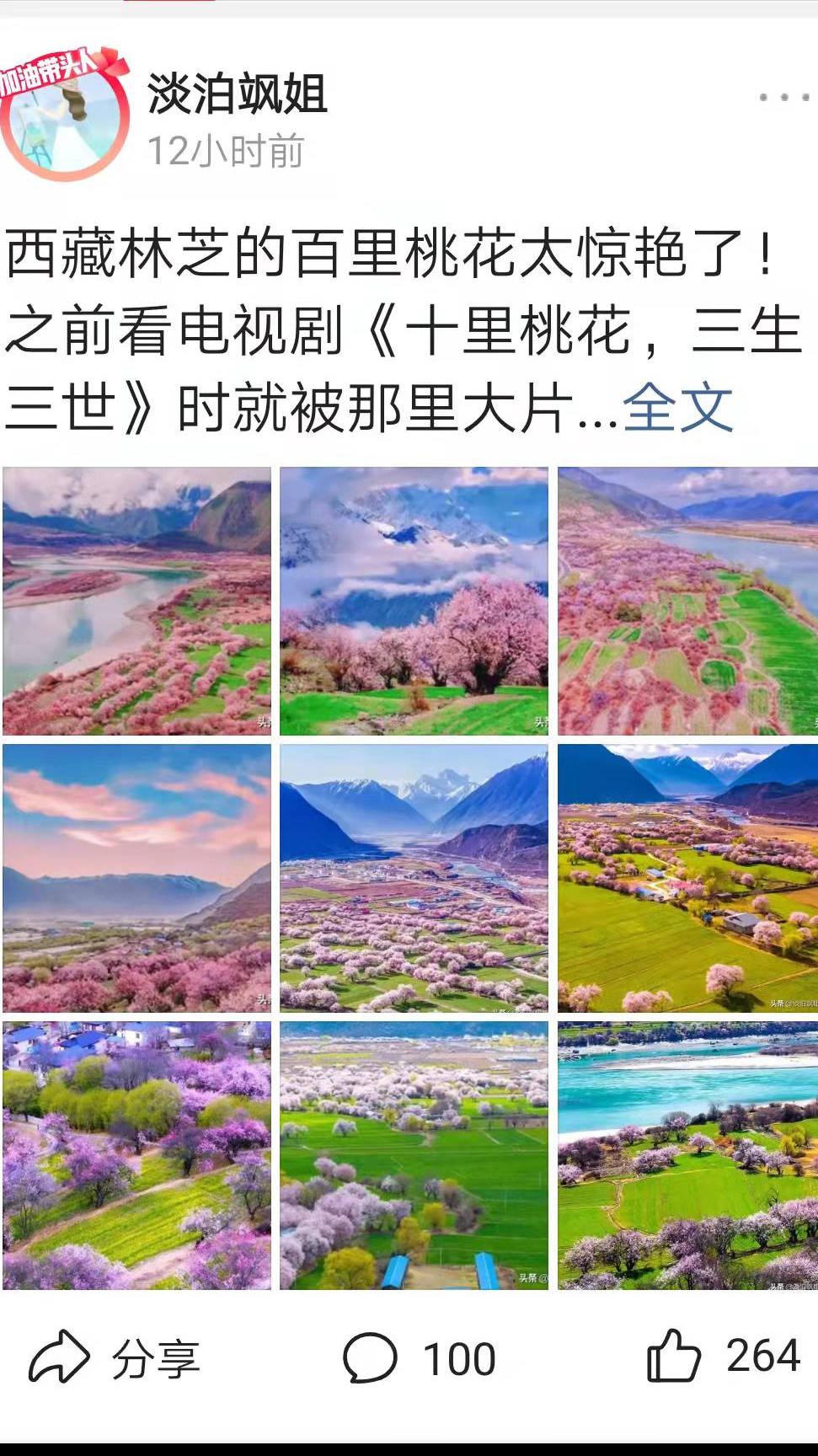 淡泊飒姐被举报,淡泊飒姐被移出创作者计划啦