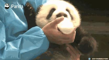 婴幼儿后天形成斜颈怎么治疗,8岁小孩斜颈中医怎么治