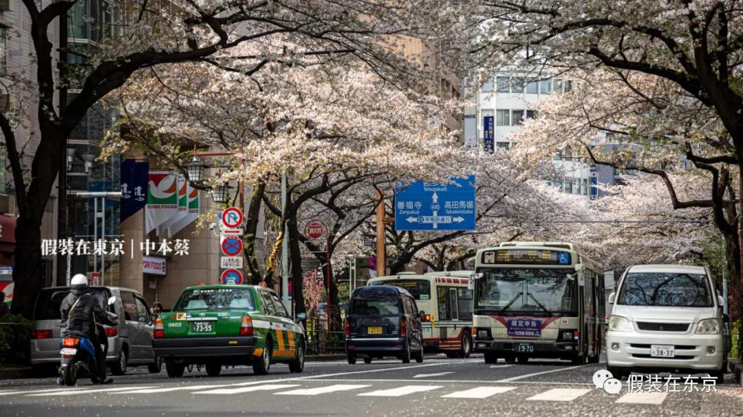 365张照片回顾,365张相片