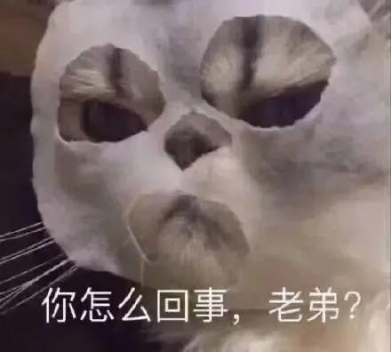 聪明水动画,聪明水的功效和作用