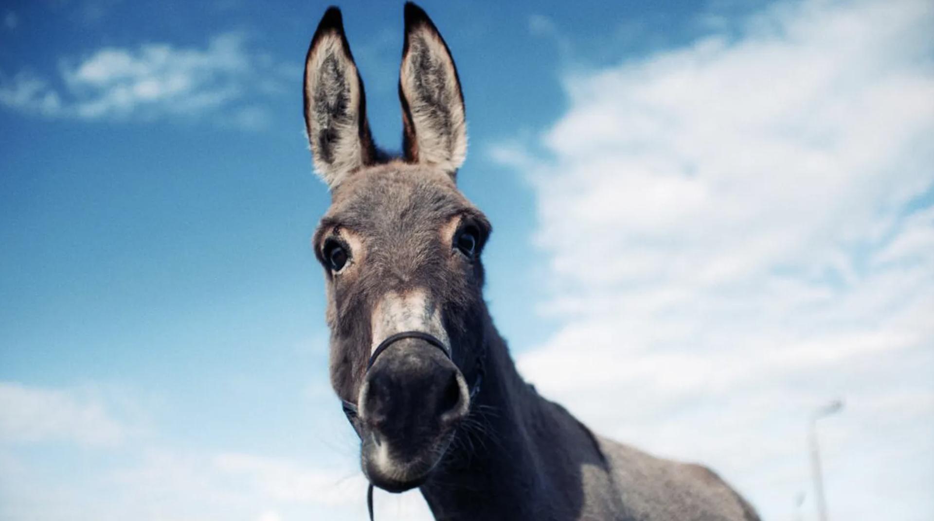 值得观看的50个电影推荐,2020-2022年值得推荐的电影