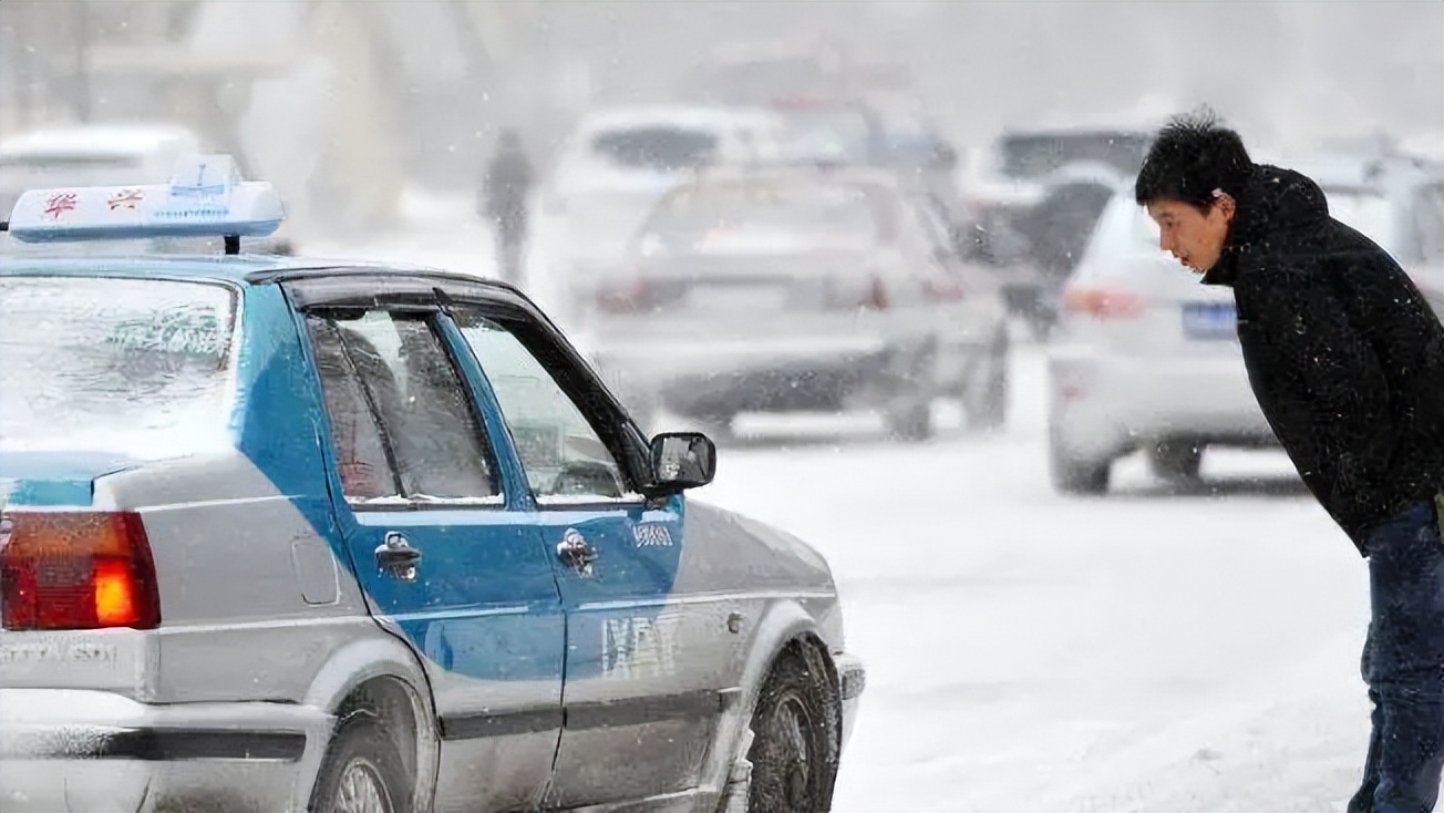 女子养蛇致富案例,广西女子投资几百万养毒蛇