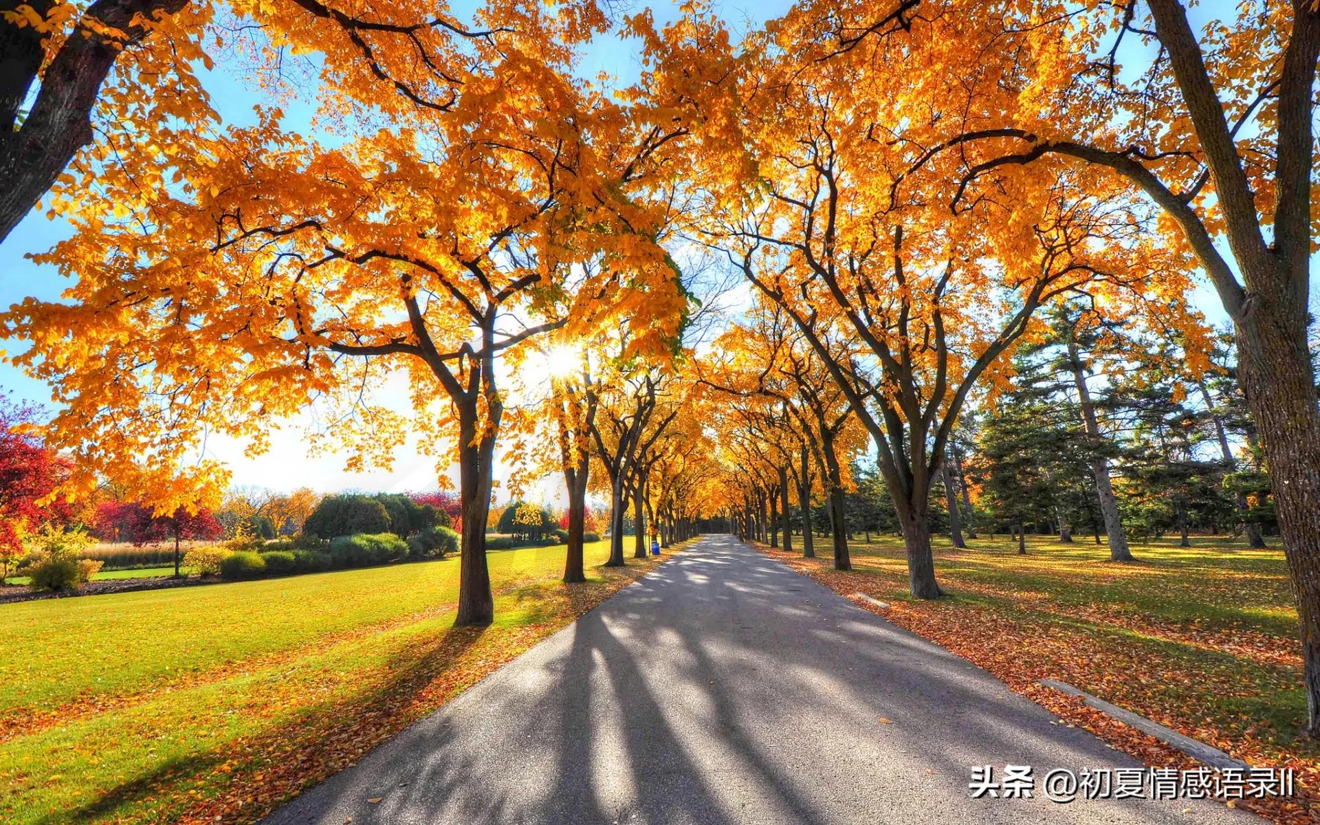 适合女人发的干净句子,适合女人发的干净的文案