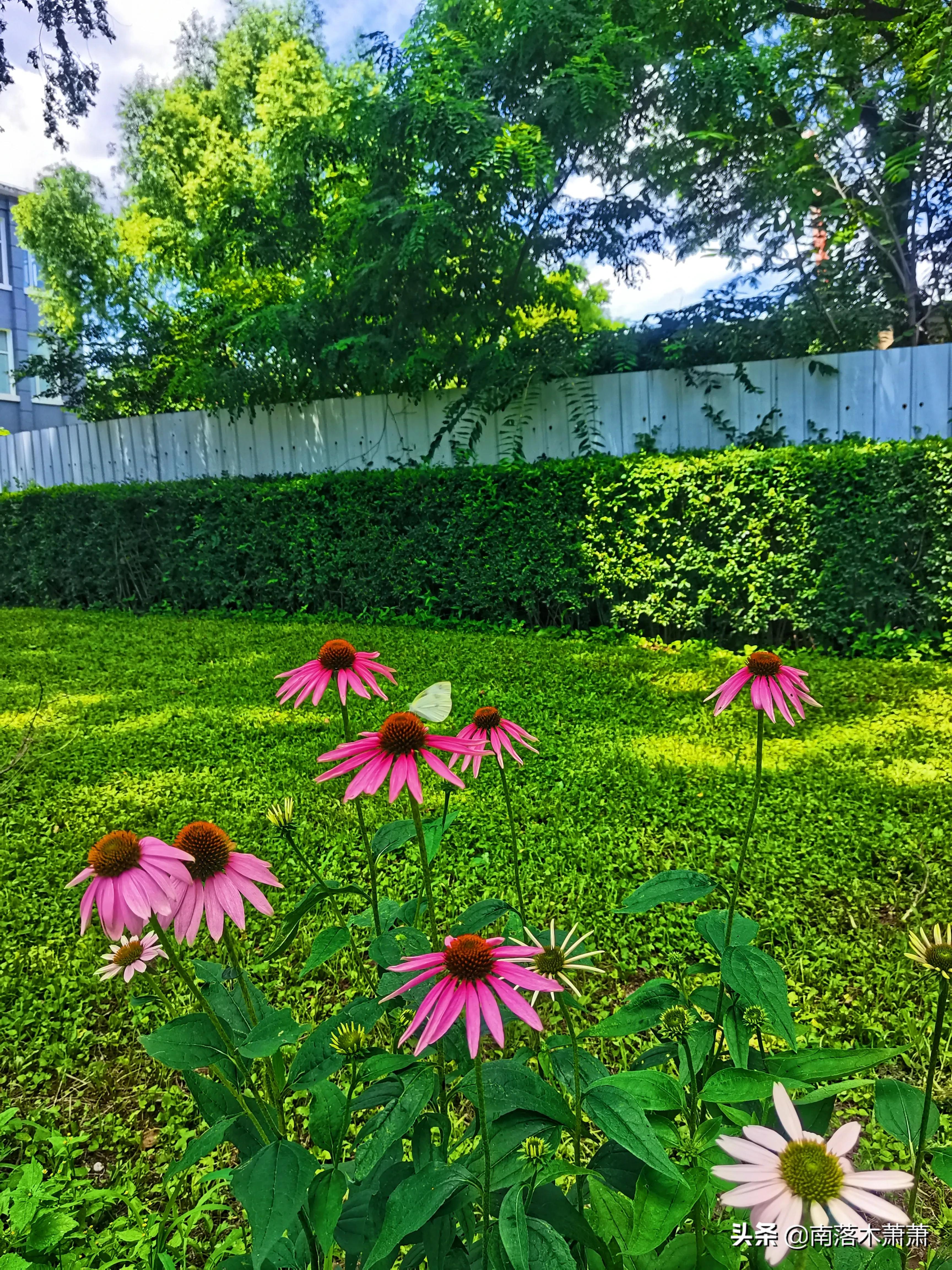 沈阳皇姑新乐遗址,参观沈阳新乐遗址博物馆