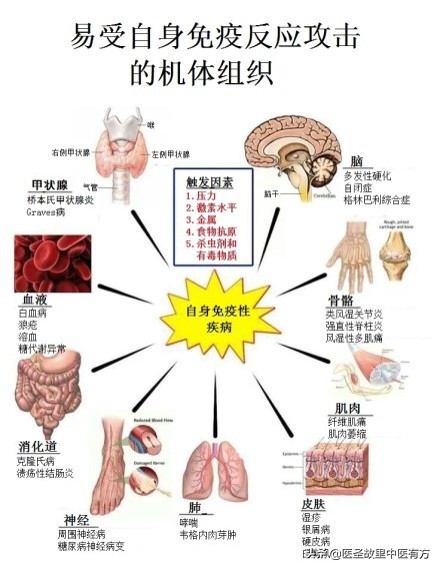 柴归汤怎么治寒湿凝滞,经方柴归汤