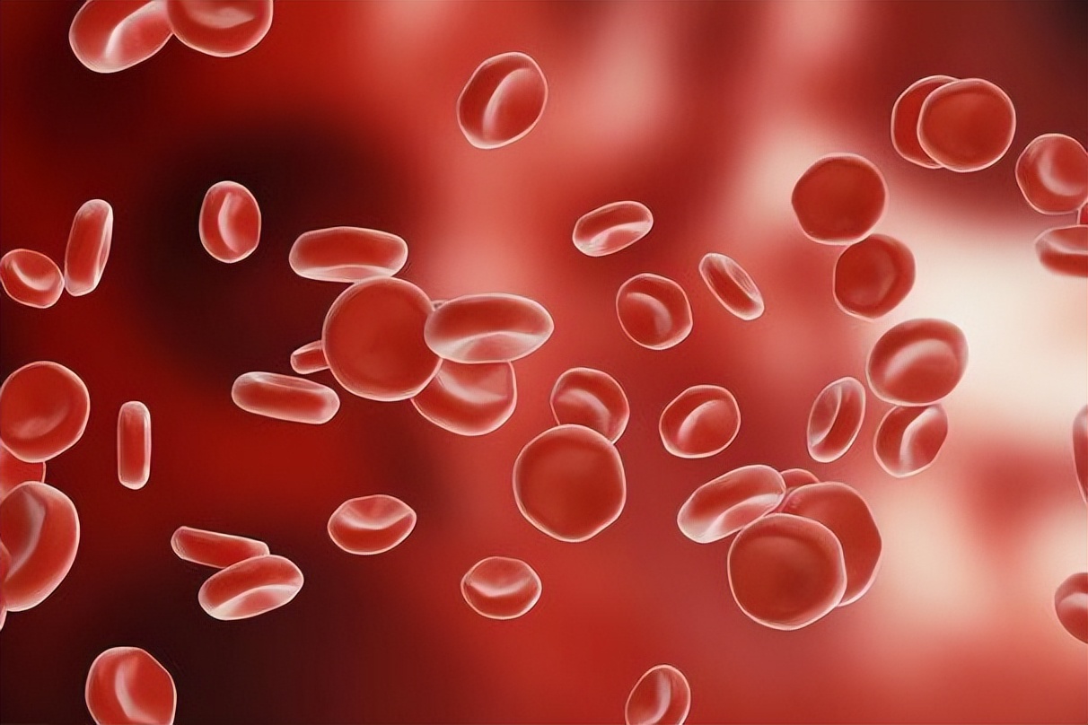 血常规检查各项指标都高什么原因,血常规四个指标升高需要注意什么