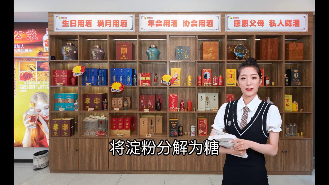 AI数字人讲知识之：单粮酒和杂粮酒的区别（下）。#白酒