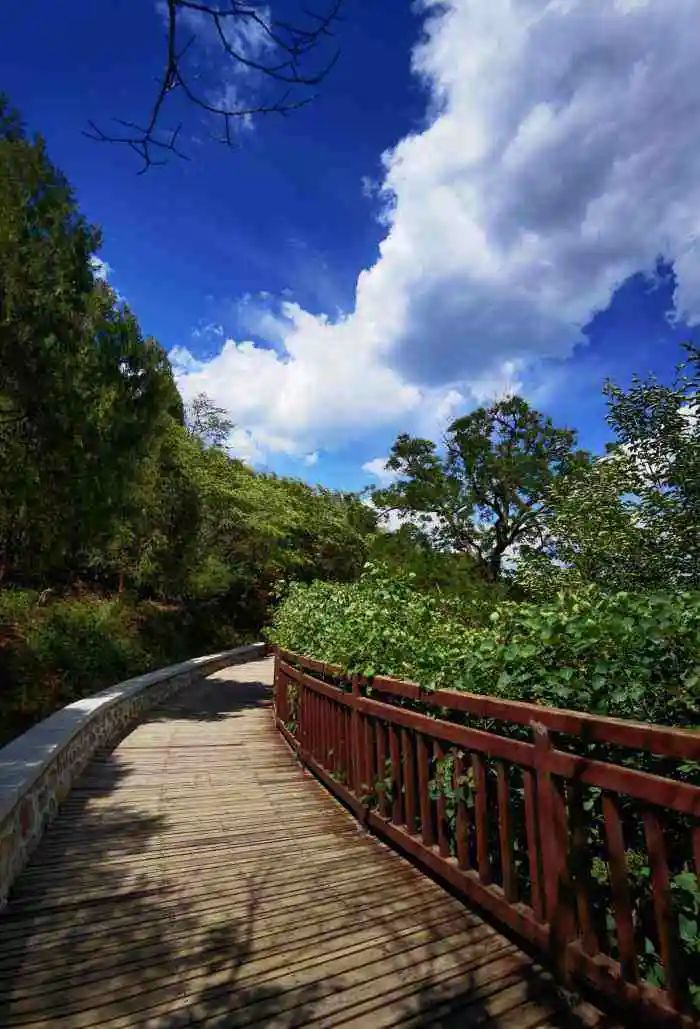 京郊步道旅游攻略,最惊艳的森林步道