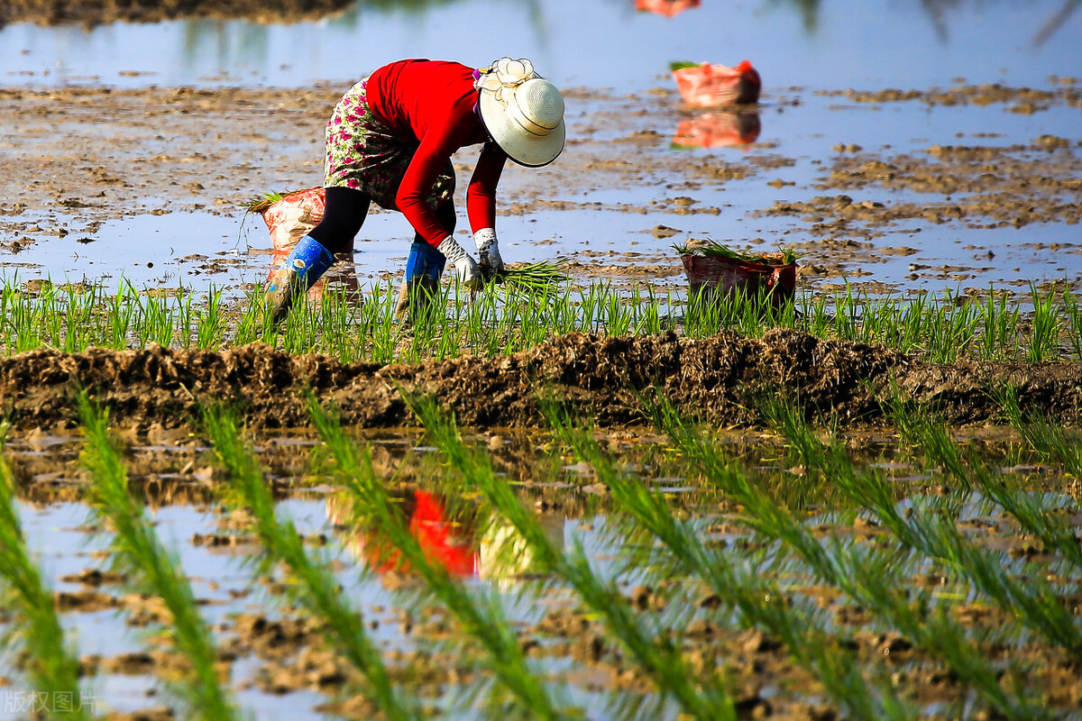 从世界首富到世界首负,首富跌落神坛后续