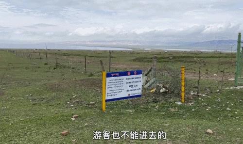 一直免费却突然圈烂钱，这难看吃相早该被撕