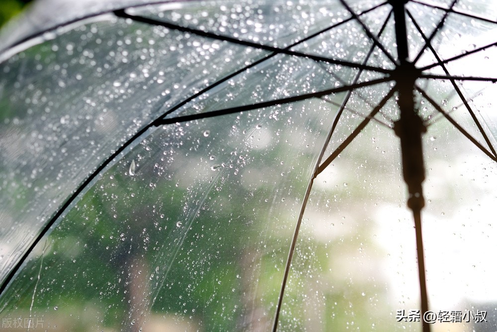 做着核酸,看着世界杯,吃着汪小菲大S的瓜,这个星期就过去了