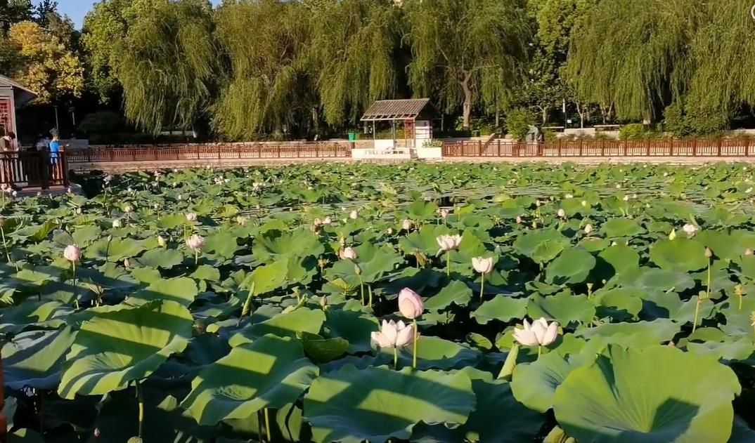 郑州冬季周末遛娃好去处,郑州遛娃好去处排行榜