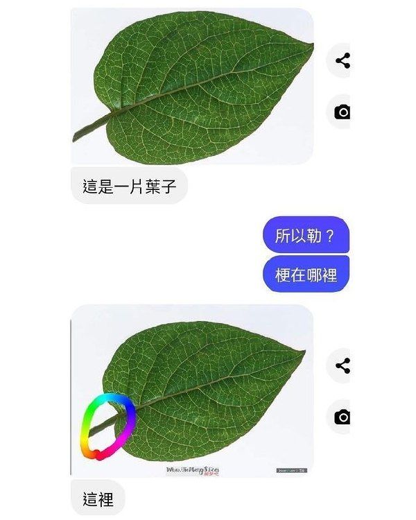 搞笑动物头像沙雕图片,搞笑图片沙雕图片