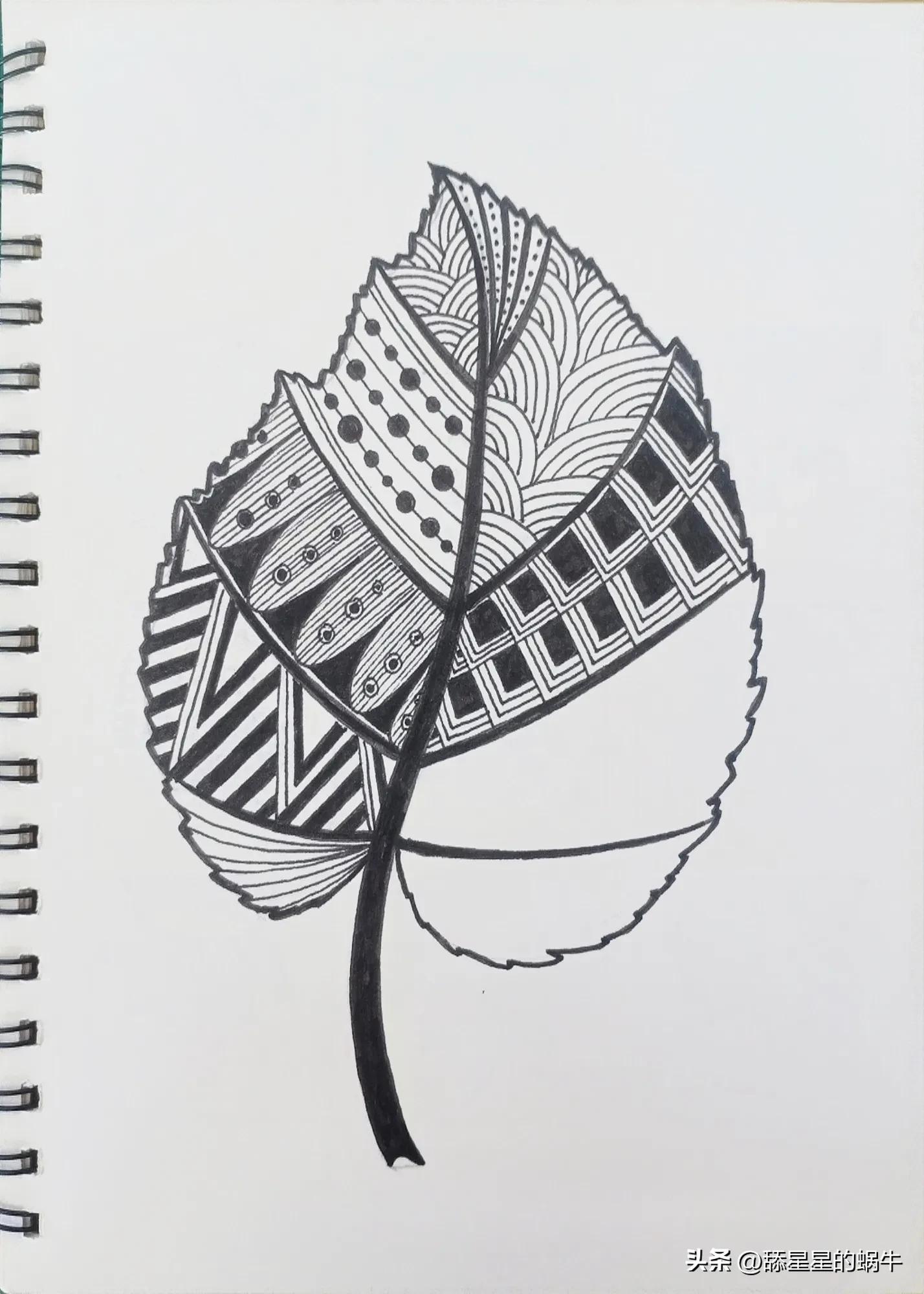 树叶黑白线描画简单花纹,点线面的树叶创意线描