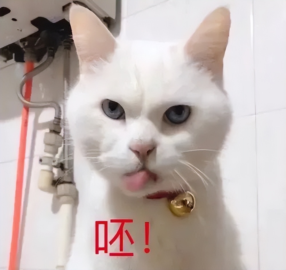 20万开店日营业额仅79元创业失败,20万投资实体店生意惨淡