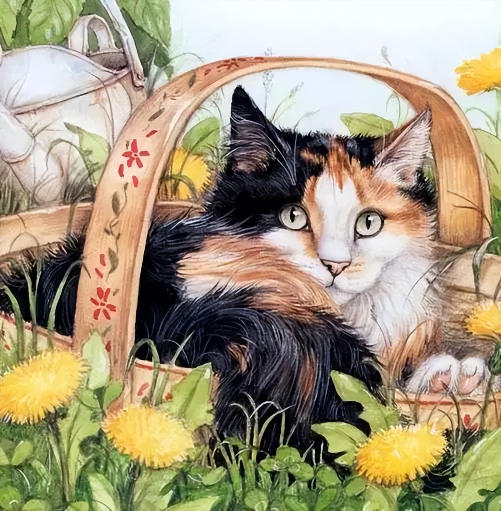 默念对方名字看看他是我的贵人吗,默念对方名字看感情结果