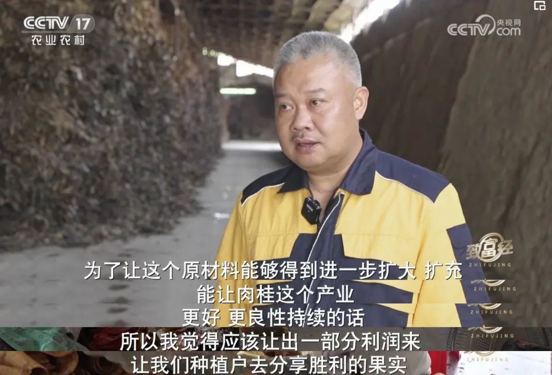 一根“树皮”引发的国际知名品牌