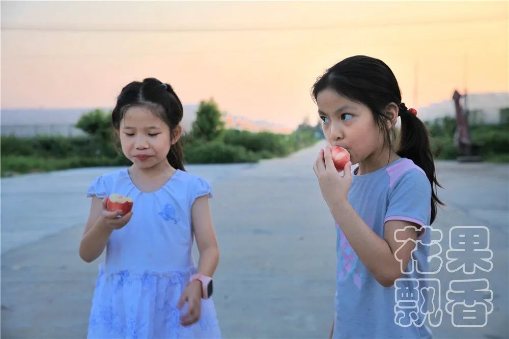 老板,这个水果多少钱?不用,你帮我介绍客户就行了