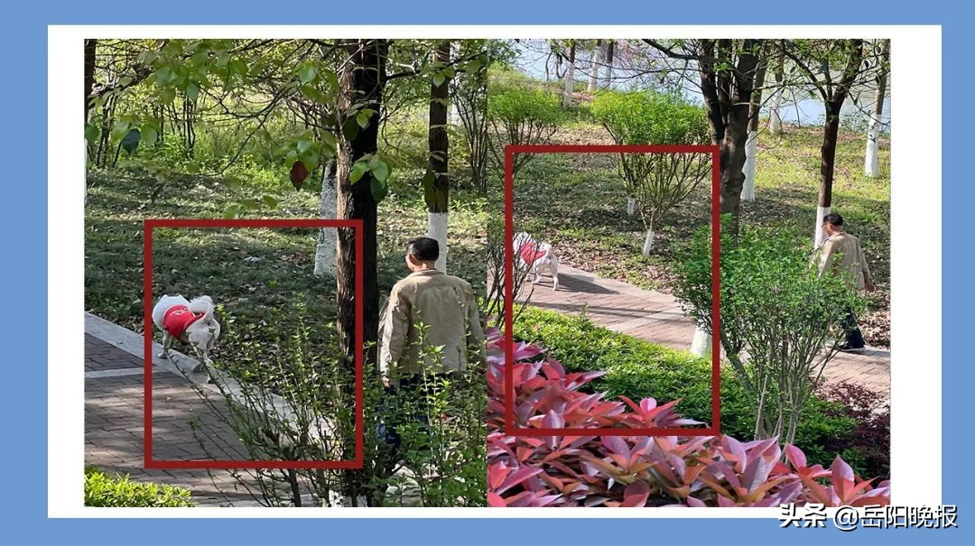 平江扫黄新闻最新消息今天,津市不文明行为曝光