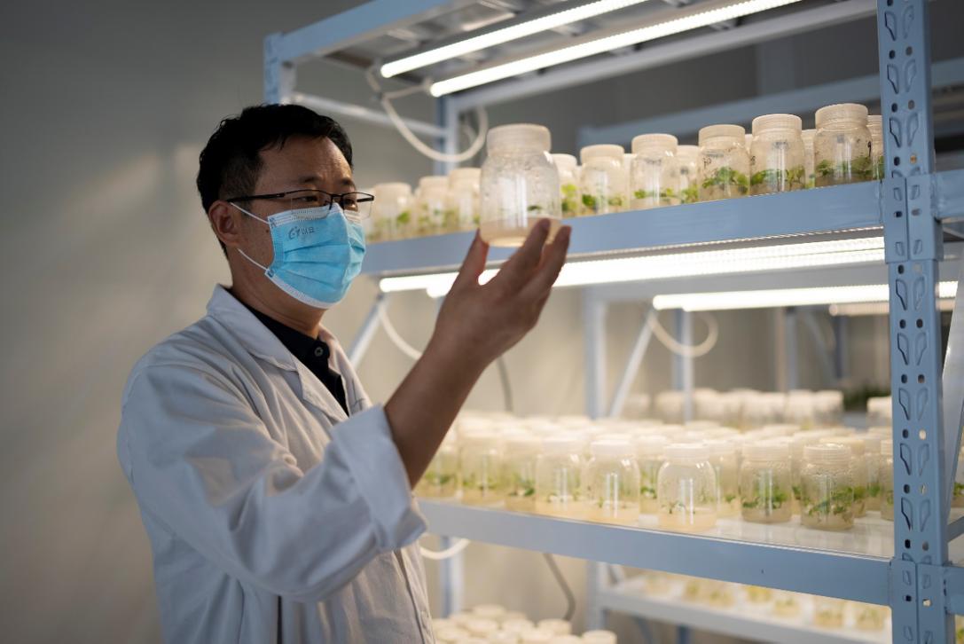 拼多多前三季度研发投入,拼多多扶持制造业