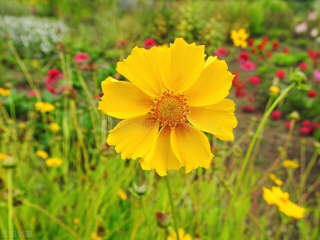 让女人越来越爱你的三种方法,让女人越来越爱你的套路