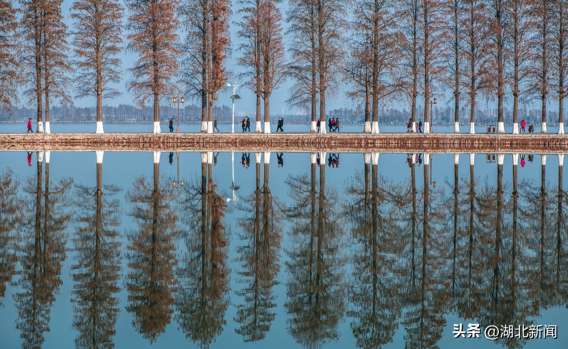 有关武汉的三行情诗,致敬武汉的七言诗