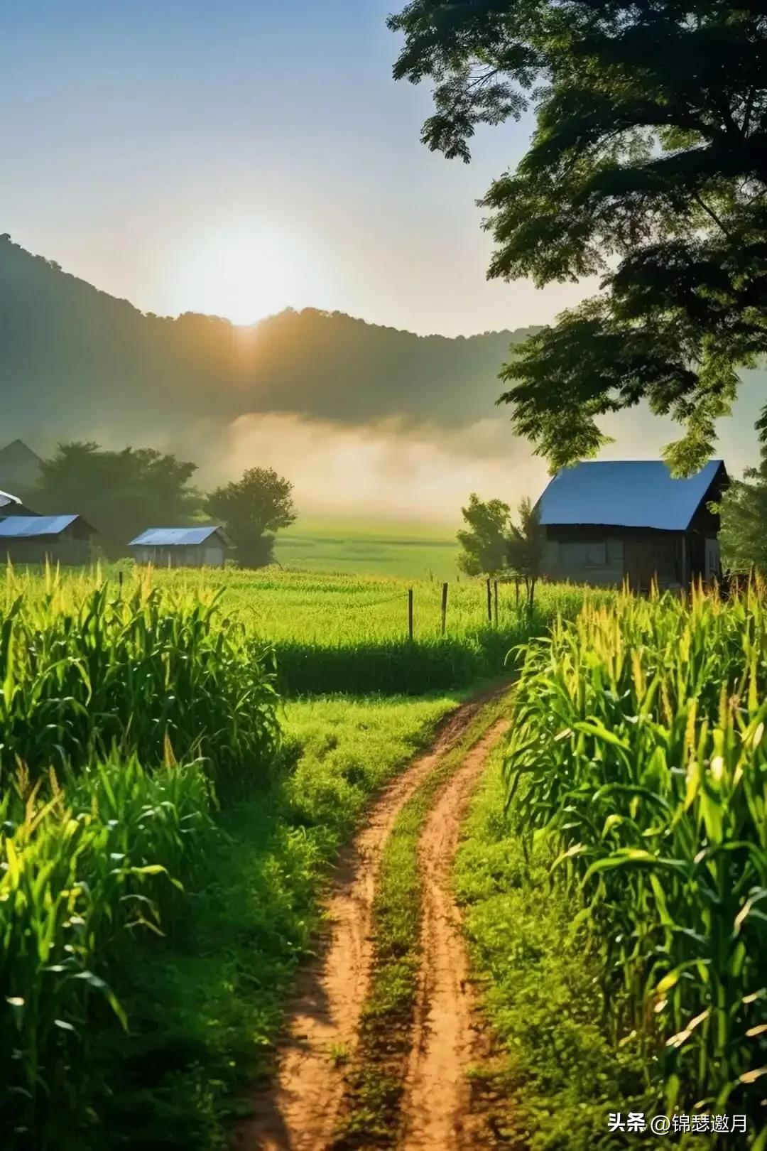 乡村田园风光图片,田园风光风景图片