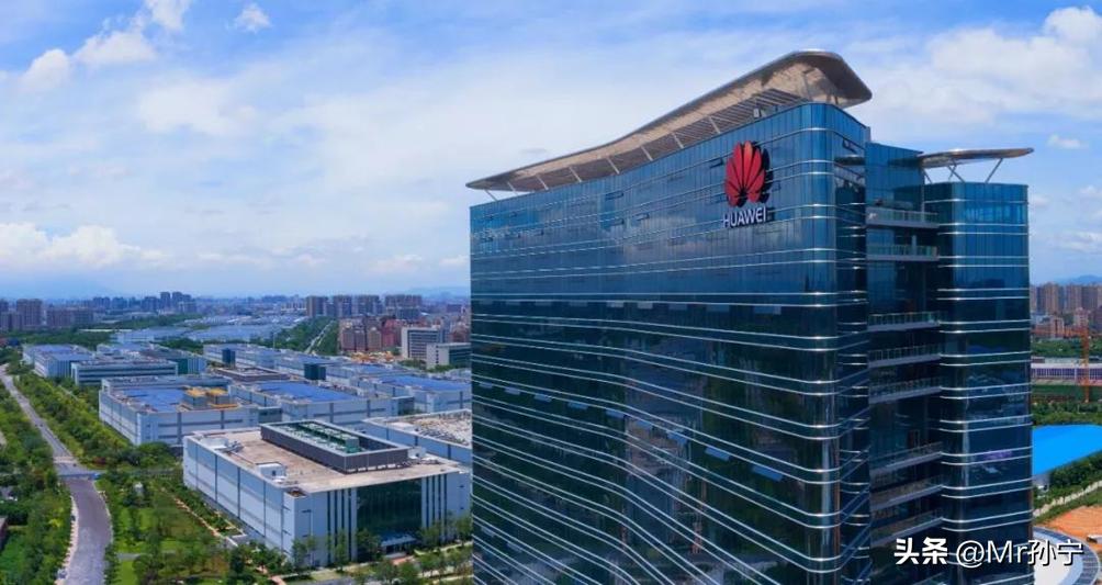 30而立的龙岗，成长之路更加清晰有力