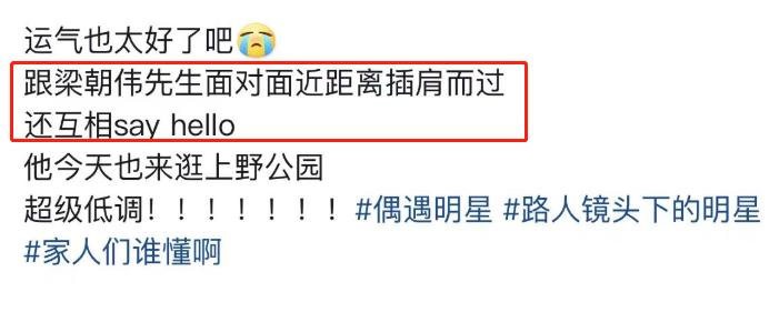 刘嘉玲谈梁朝伟独自去伦敦喂鸽子,梁朝伟在日本居酒屋