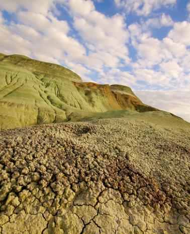 土壤侵蚀：它削弱了地球的生命力和抵抗力，你能做些什么？