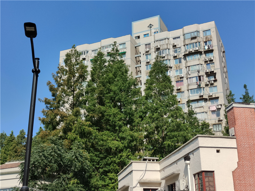 真我gt2大师探索版小白评测,真我gt2大师探索版测评优缺点