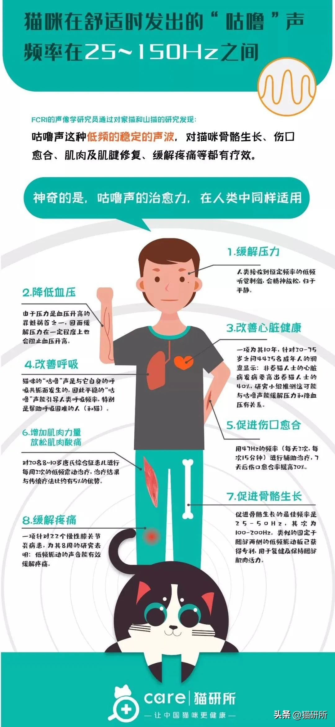 猫咪一摸就咕噜咕噜,可能是故意作秀…