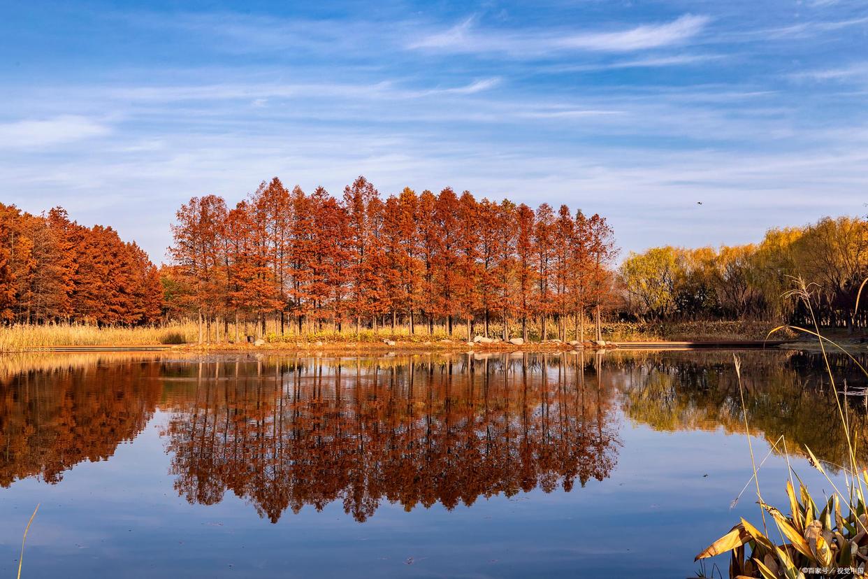 苏州必去的景点排名前十,苏州比较值得去的景点