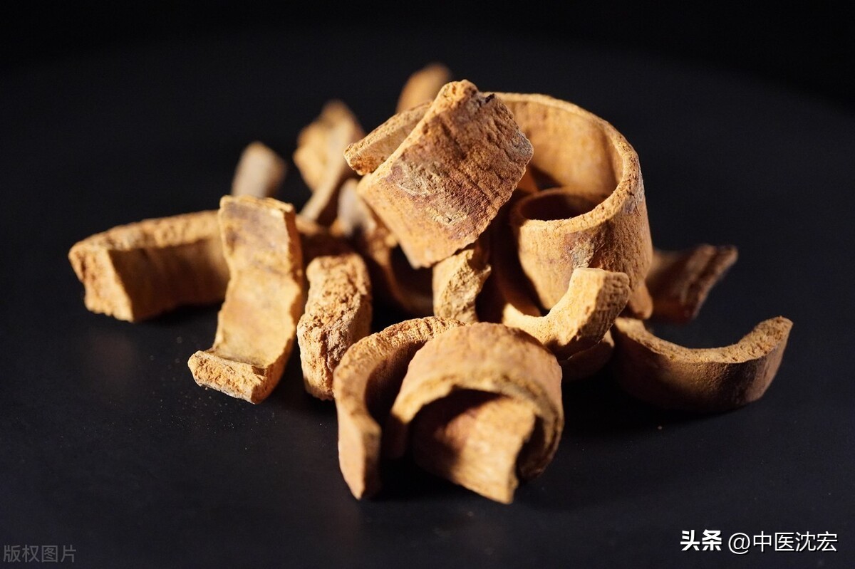 鑲濇槸闃磋偩鏄槼,鑲濇槸瀛愬脊鑲炬槸寮硅嵂