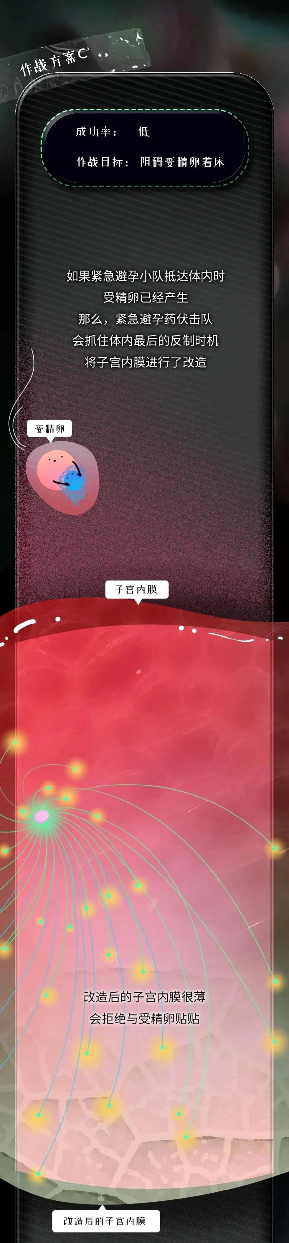 紧急避孕药吃了什么情况下会怀孕,紧急避孕药吃了卵子的变化