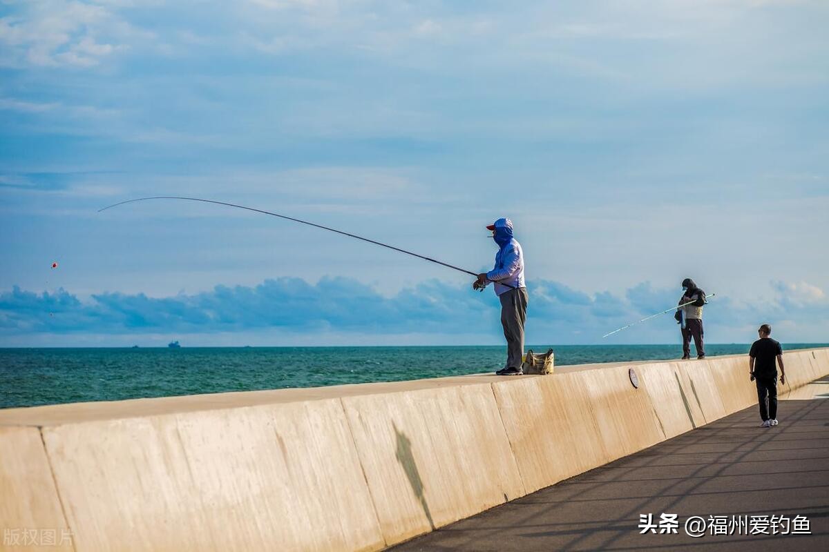 夜晚海钓鲈鱼最佳钓法,海钓鲈鱼钓法视频教程