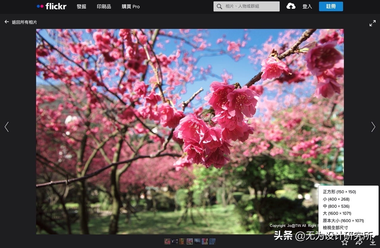 可搜500000000张图片的免费图片搜索引擎WordPressOpenverse