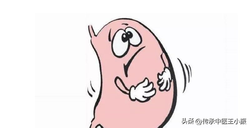 吃附子理中汤排寒反应,脾胃虚寒为什么喝冷水感觉不舒服